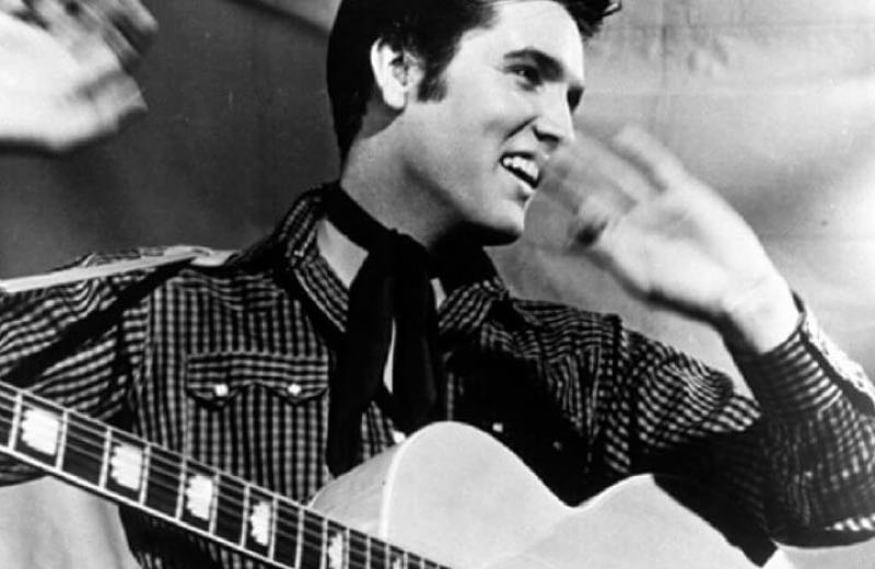 elvis